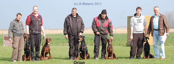 Orion Ekoive di Matario