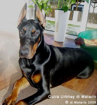 Quira Urbhay di Matario